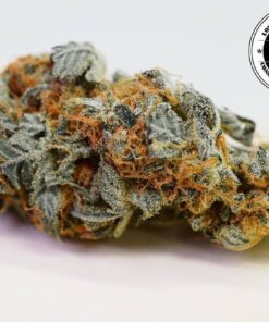 Buddha Cheese