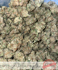 Rozay Strain