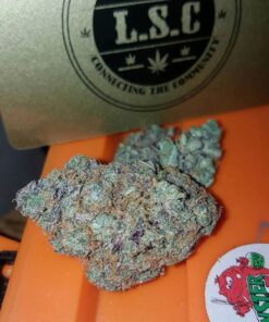 Blueberry Pie