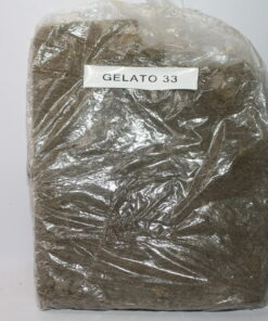 Gelato 33 Ice Water Hash 73u