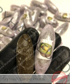 kiwi Hash Egg