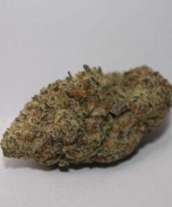 Purple Punch