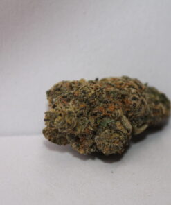 Wizard Trees C.R.E.A.M